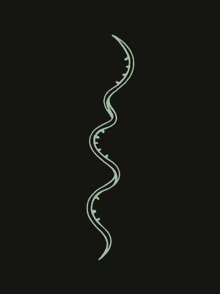A minimal line illustration of a single peptide strand, drawn as a slender chain curving down the frame and tapering at both ends.