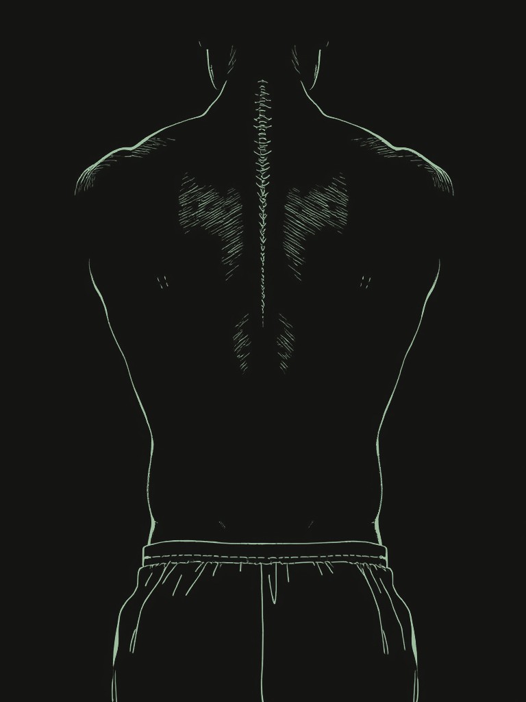 Etched line study of a back seen from behind, hatching along the spine and shoulder blades.
